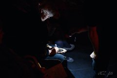 o_1b2u8815dtqdu7e1gedidv116p